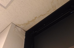 雨漏り相談をする際には、どのような情報を伝えれば良いですか？