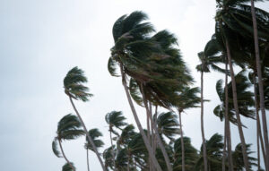 家まわりの台風対策