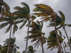 台風にも耐える耐風性