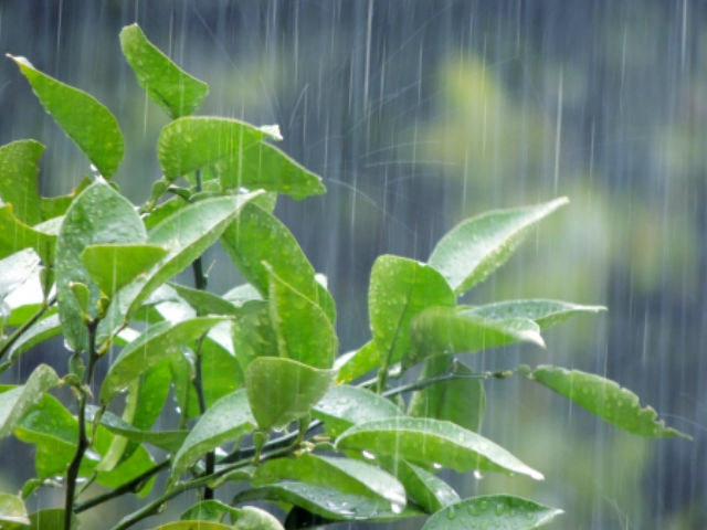 雨の日の塗装工事