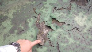 防水工事で空気抜きが大切である理由