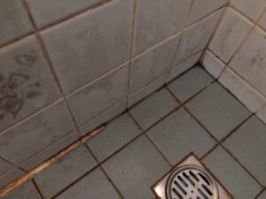 みよし市で風呂の防水工事をしないとどうなる？