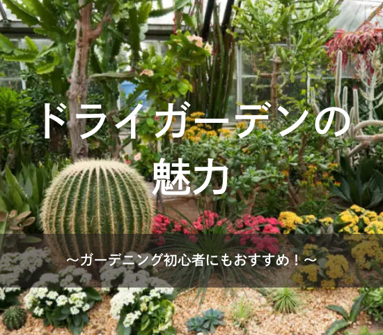 ドライガーデンの魅力