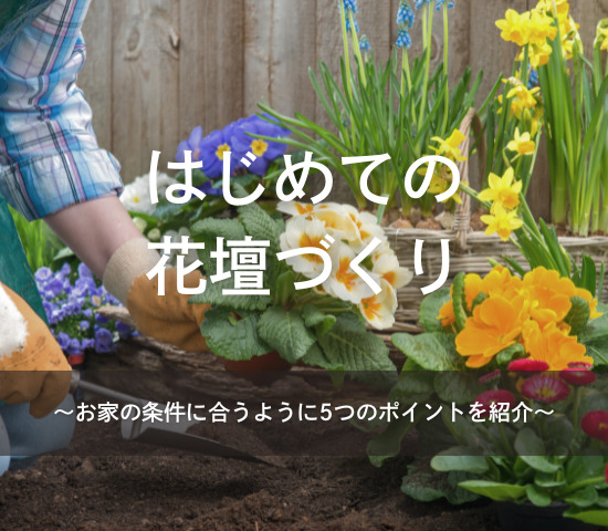 はじめての花壇づくり
