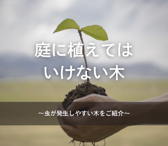 庭に植えてはいけない木