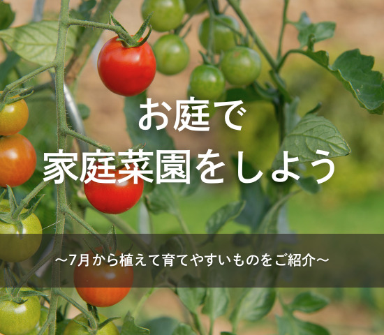 お庭で家庭菜園をしよう