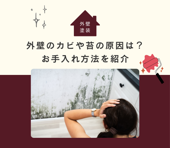 外壁のお手入れって必要？カビや苔が発生する原因やお手入れ方法について解説