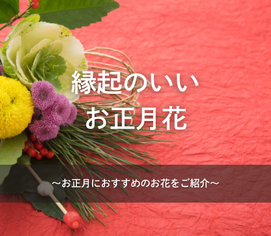 縁起のいいお正月花