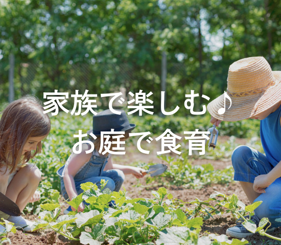 家族で楽しむ♪お庭で食育