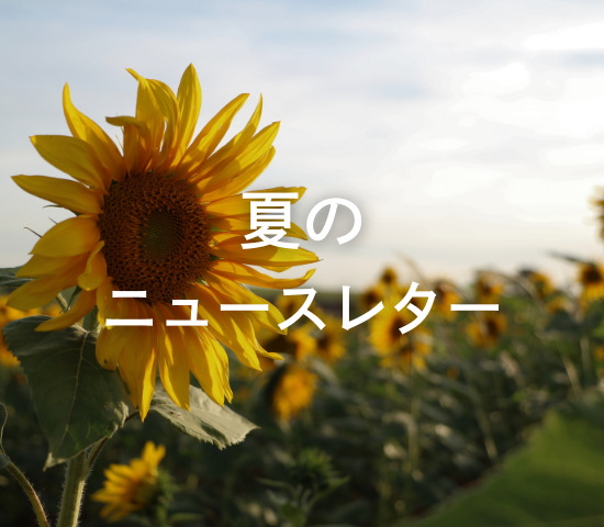 夏のニュースレター