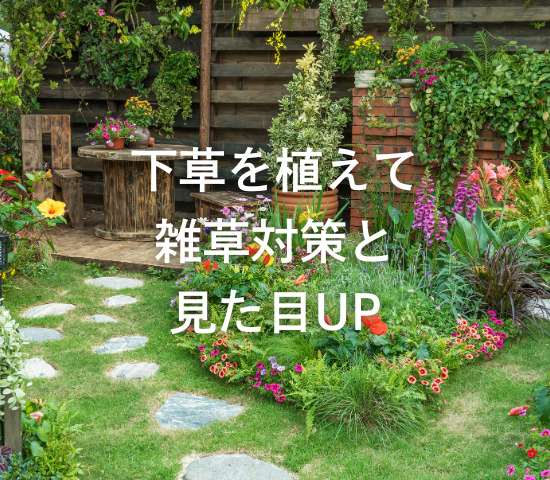 下草を植えて「雑草対策＋見た目UP」