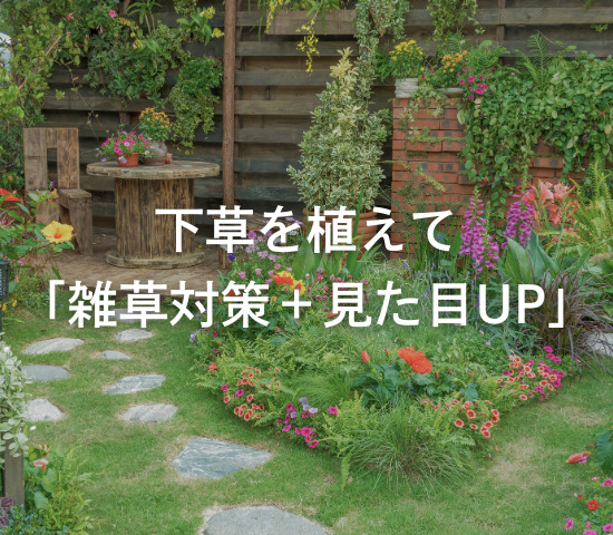 下草を植えて「雑草対策＋見た目UP」