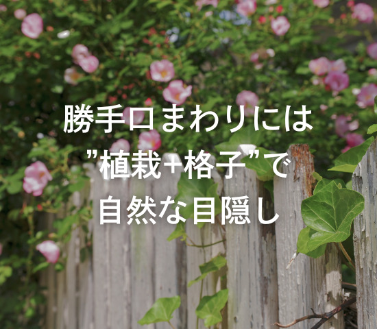 勝手口まわりには”植栽+格子”で自然な目隠し