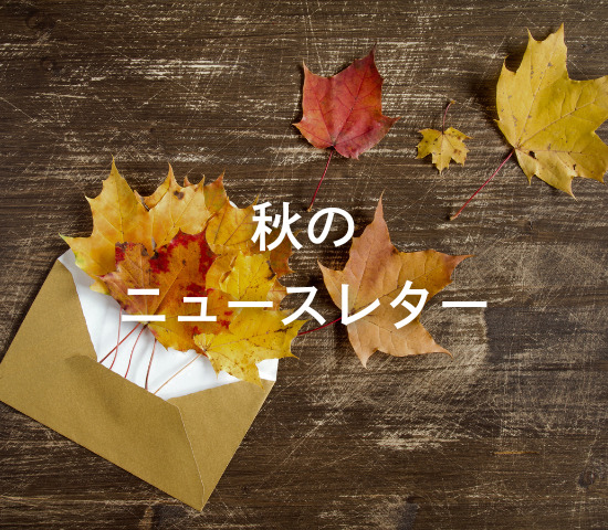 秋のニュースレター発行しました🍂