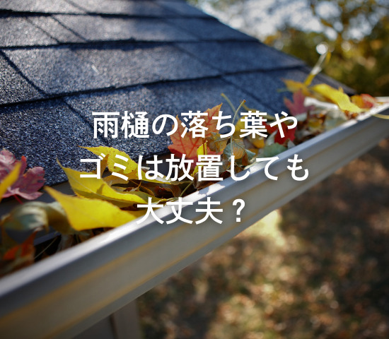 雨樋の落ち葉やゴミは放置しても大丈夫？