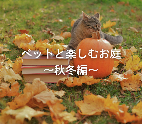 ペットと楽しむお庭～秋冬編～