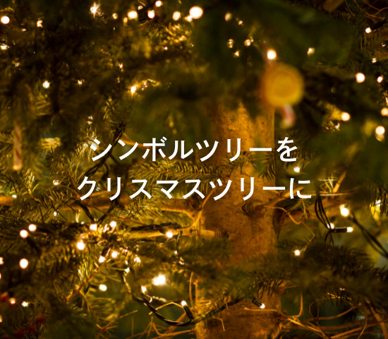 シンボルツリーをクリスマスツリーに🎄✨