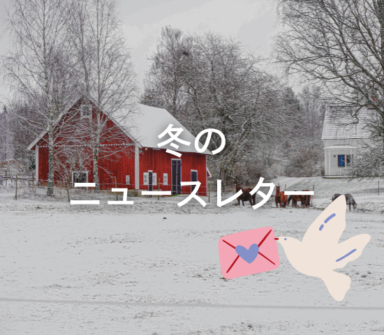 冬のニュースレター発行しました☃