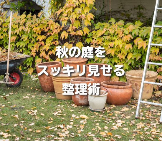 秋の庭をすっきり見せる、今こそ始めたい整理術