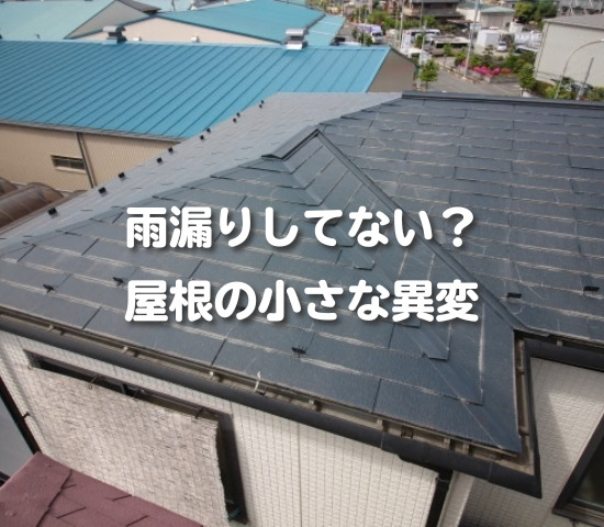 雨漏りしていなくても要注意？屋根の小さな異変