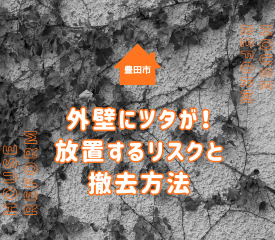 豊田市で外壁にツタが！放置するリスクと撤去方法