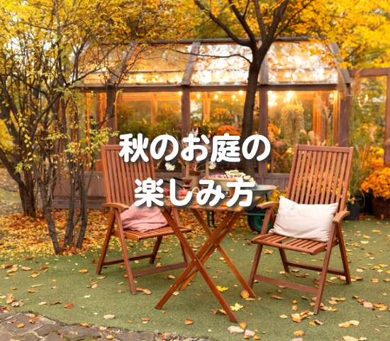 秋のお庭、楽しんでいますか？